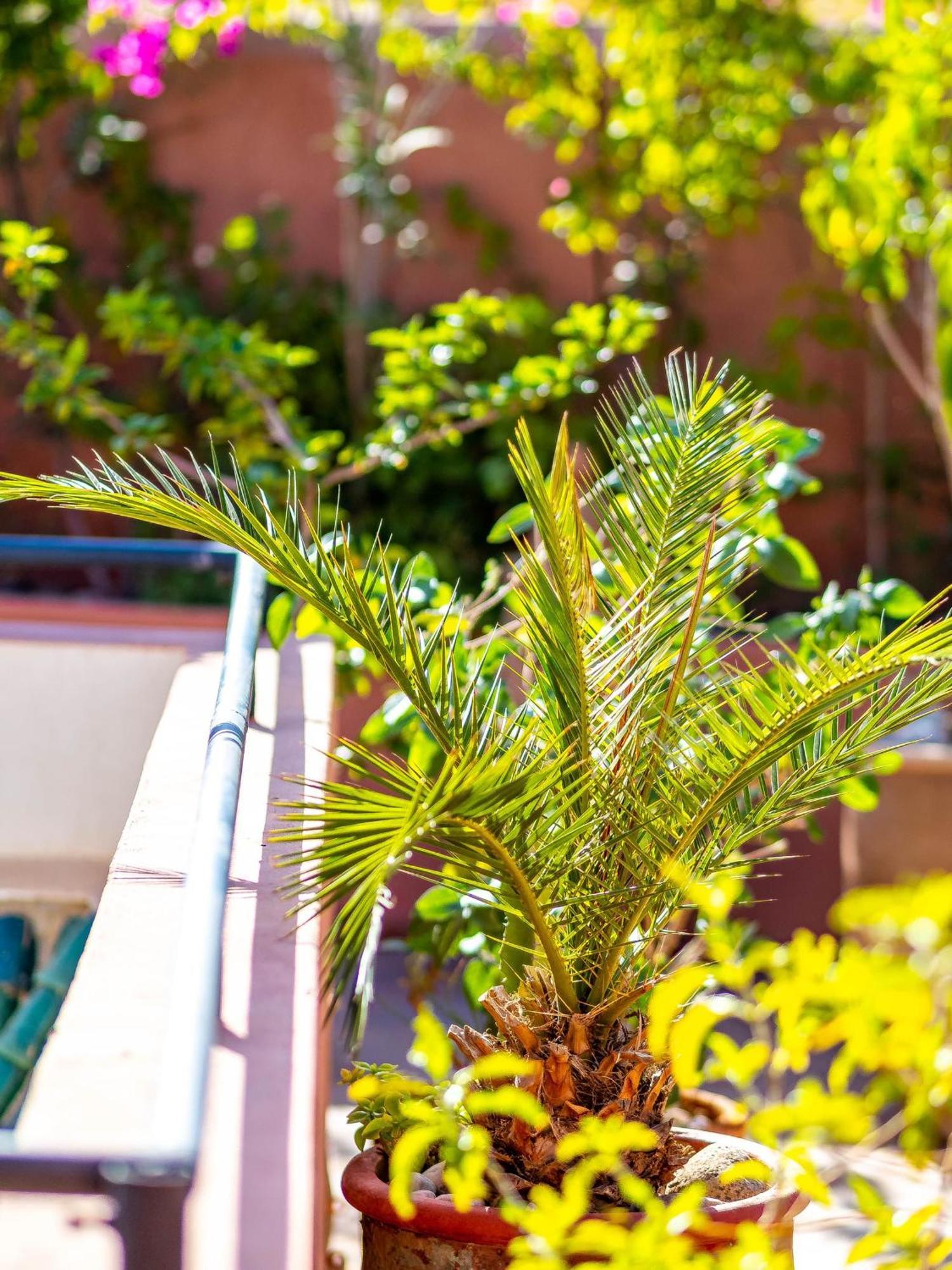Riad L'Orange Bleue Marakéš Exteriér fotografie